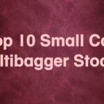 Small cap multibagger stocks