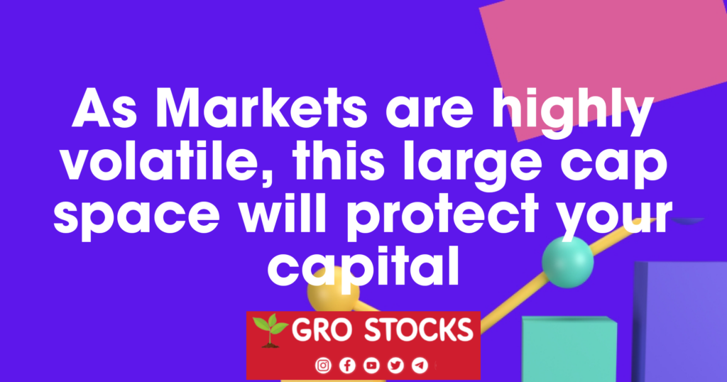 Large Cap Stocks in India 